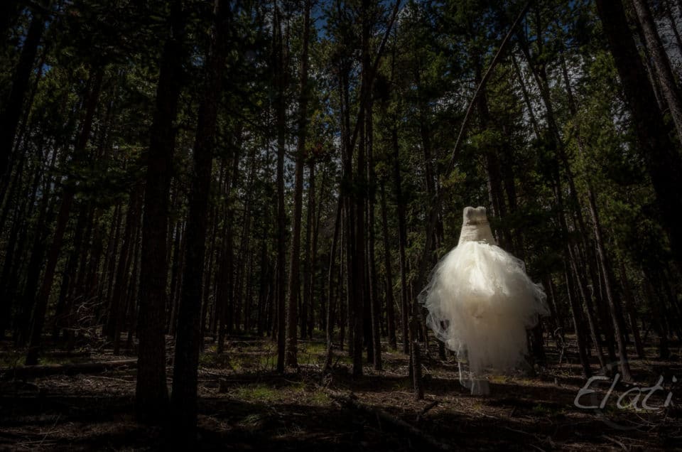 Wedding Dress Hanging in Woods